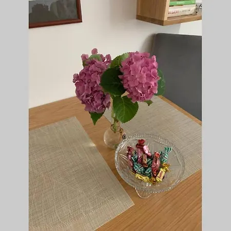 Apartment Mona Saraybosna Dış mekan fotoğraf